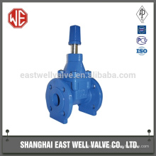 Gate valve wcb